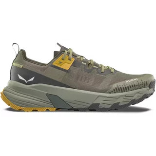 Hiking shoes Salewa Pedroc 2 Max