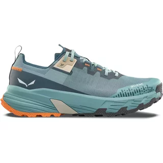Hiking shoes Salewa Pedroc 2 Max