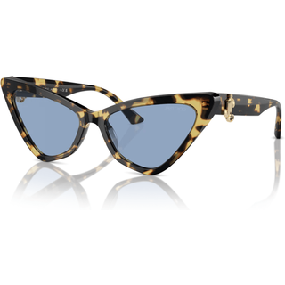 Jimmy Choo JC5008 500273 Sunglasses