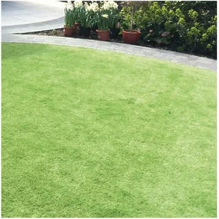 Luxigraze Artificial Grass Premium 30 2M X 4M 8M2 Roll