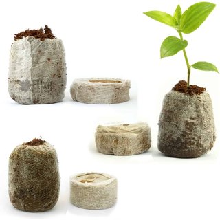 Jiffy 7-C Coir Pellets | Organic & Peat Free | Hydroponic Seed Propagation Plugs