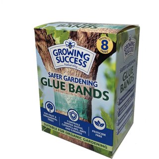 Growing Success Glue Band Traps