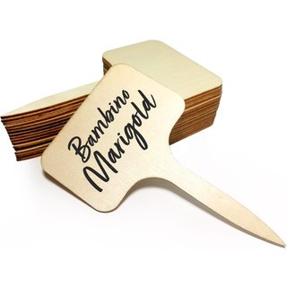 Bamboo Plant T Labels