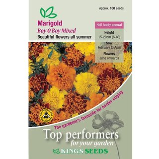 Marigold French Boy O Boy