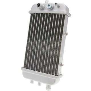 34399 - 101 Octane Radiator For Gilera RCR 50 2003-2020 - Silver