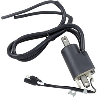 01-143-55 - Parts Unlimited External Coil For Ski-Doo Formula GT 580 1993 - Black
