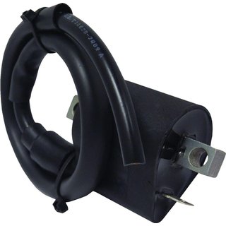 CPS29 - Parts Europe Ignition Coil For Yamaha Snoscoot 80 1988-1990 - Black