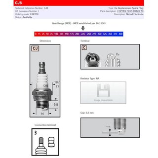 CJ8 - Champion Spark Plug For John Deere XUV 855 D 4X4 2011