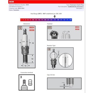 8698/T10 - Champion Spark Plug For Buell 1125 CR 2009