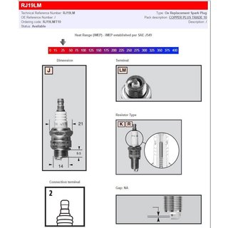RJ19LM - Champion Spark Plug For Trail Sport TS-500 180 2004-2006