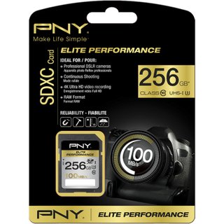 PNY 256GB SDXC class 10 UHS-I