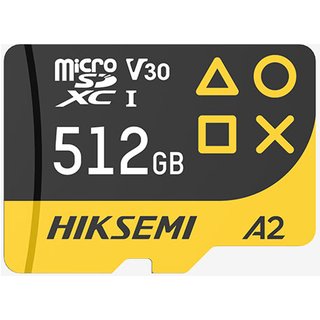 Hiksemi FUTURE Gaming Micro SD Card