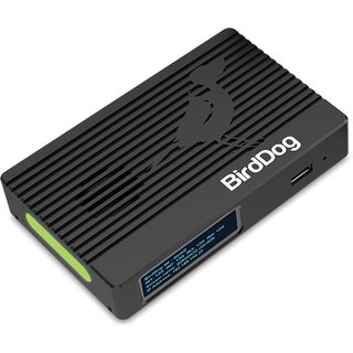BirdDog 4K QUAD 2 channels 3840 x 2160 pixels