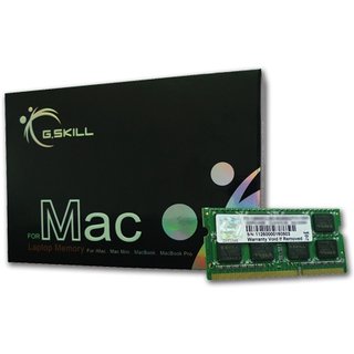 G.Skill 4GB DDR3-1066 SQ MAC memory module 1 x 4 GB 1066 MHz