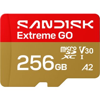 SanDisk Extreme GO microSD 256GB microSDXC Memory Card, Up to 240MB/s UHS-I U3 4K V30 A2 for Android SDSQXGN-256G-GN6MN