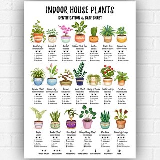 Indoor House Plants Poster A3 – Houseplant Care Guide & Identification Chart – Botanical Wall Art