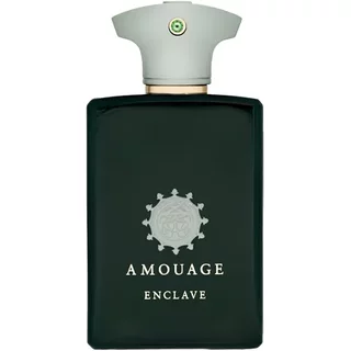 Amouage Enclave Eau De Parfum 100ml
