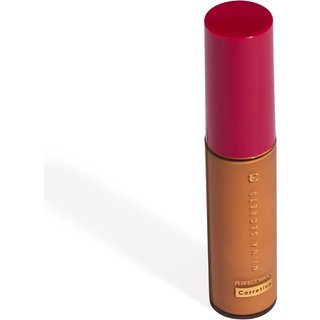 Corretivo Niina Secrets Perfect Match Cor 65 10ml