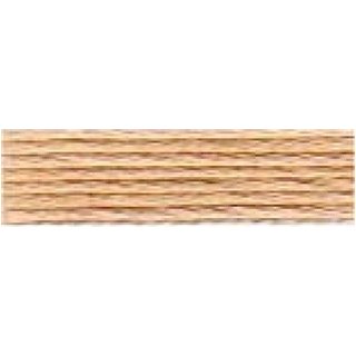 Anchor Stranded Cotton Embroidery Thread (Value Pack) 880