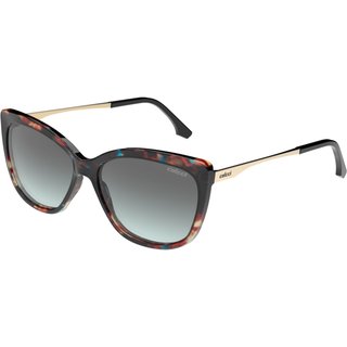 Óculos de Sol Colcci Lais C0250FG1A9 Marrom Feminino