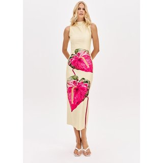 Vestido Super Midi Estampado Com Gola Lança Perfume