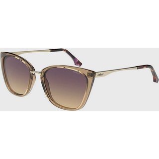 Óculos Feminino Colcci Gatinho Acetato Marrom Brilho