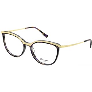 Armacao Hickmann Hi6108 G21