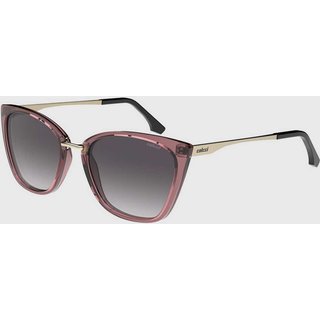 Óculos Feminino Colcci Gatinho Bordô