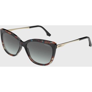 Óculos de Sol Feminino Colcci Gatinho Preto