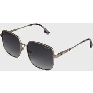 Óculos de Sol Colcci Feminino Fosco Dourado