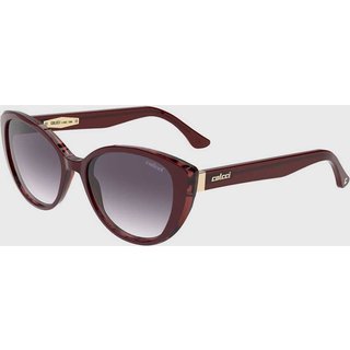 Óculos Feminino Colcci C0184MPA1187 Vinho