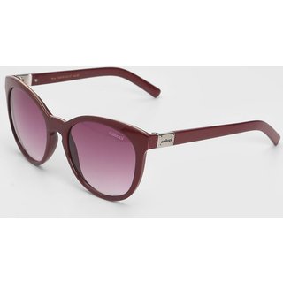 Óculos de Sol Colcci C0070C2337 Bordô