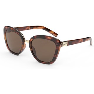 Óculos de Sol Colcci Feminino Ceu Marrom C0186F2102