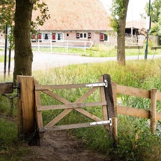 Tuinpoort eiken breed 120x120 cm