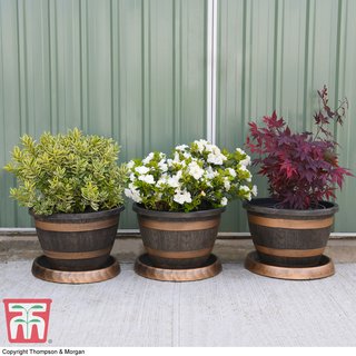 Garden Gear - Wooden Barrel Effect Pot & Saucer