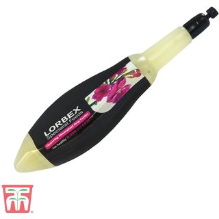 Flowering Houseplant Drip Feeder