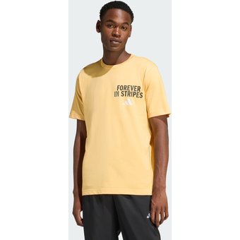 Camiseta Estampa Forever IN Stripes Homem adidas