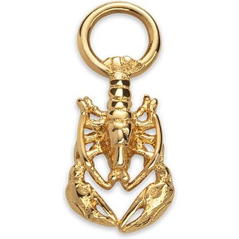 Paul Hewitt Charm PH-JE-0438