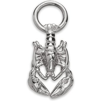 Paul Hewitt Charm PH-JE-0440
