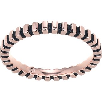 Silberring