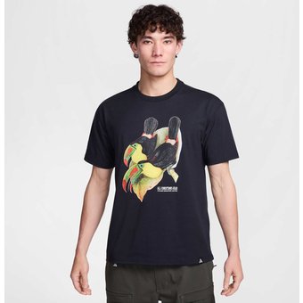 Camiseta Nike Dri-FIT ACG Masculina