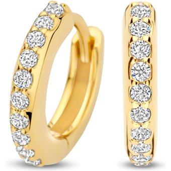 FJF JEWELLERY Creolen - FJF0030051YWH