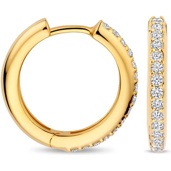 FJF JEWELLERY Creolen - FJF0030052YWH
