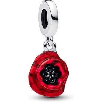 Pandora Charm - 793917C01