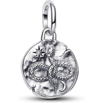 Pandora Charm - 793976C01