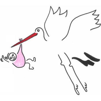 Eva Gans | Geboortekaart | Ooievaar meisje