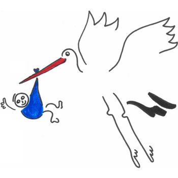 Eva Gans | Geboortekaart | Ooievaar