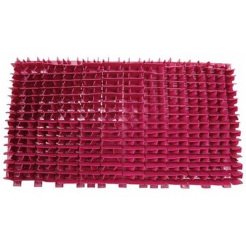 Brosse PVC diagonale magenta pour robot piscine Diagnostic 2001 - Dolphin par Maytronics - 6101604 - rouge