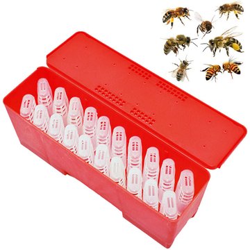 Cages pour abeilles avec cage Anti-fuite, incubateur pour abeilles, outils d&39élevage, fournitures pour apiculteur,CN