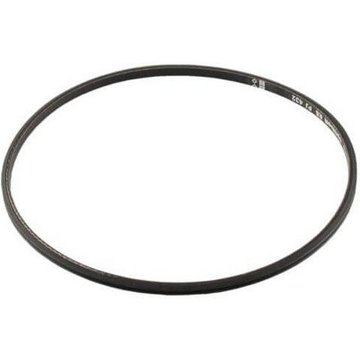 Courroie de transmission Zodiac® pour toutes les piscines robots